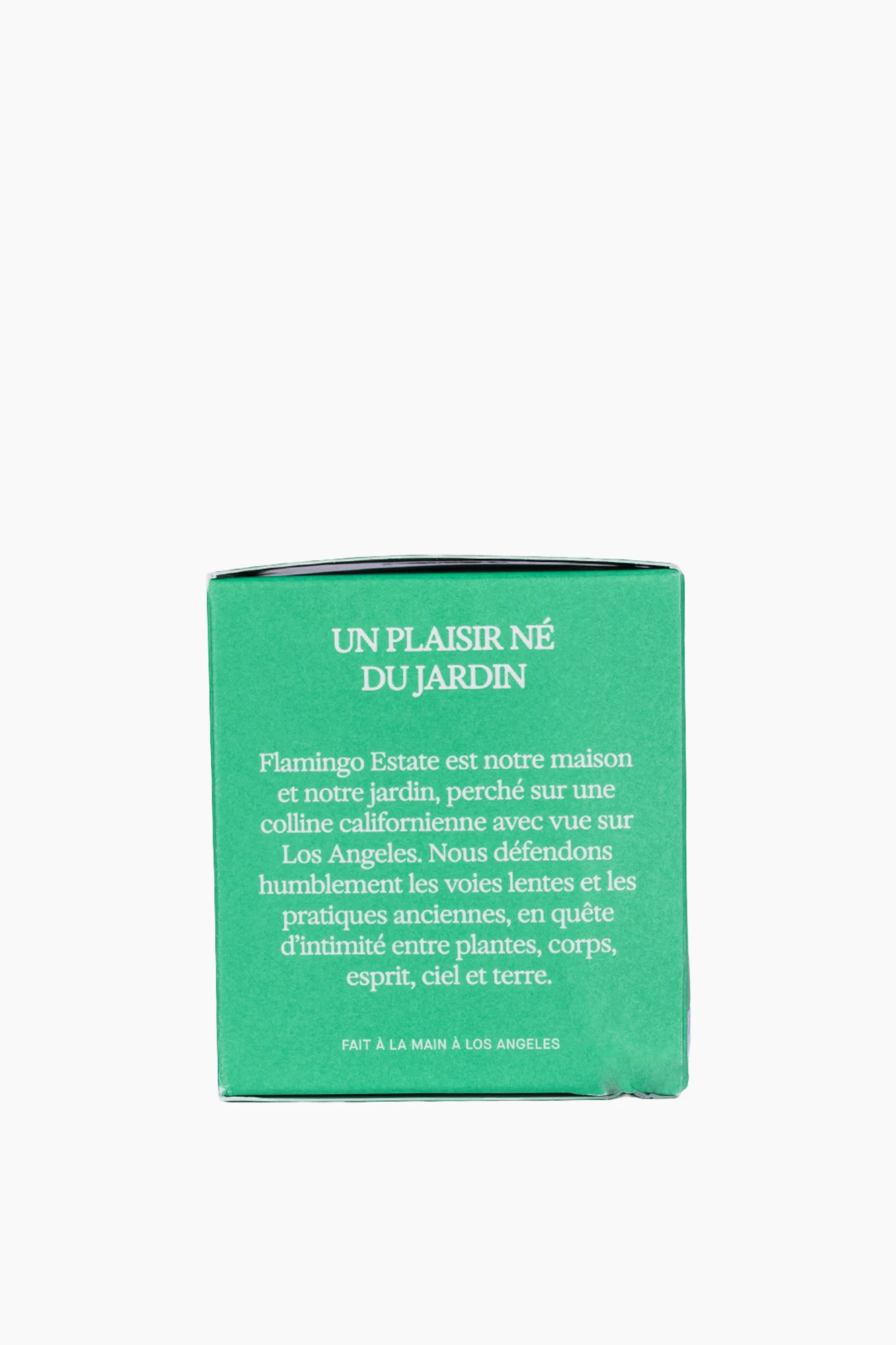 Climbing Tuscan Rosemary Candle - Image 7